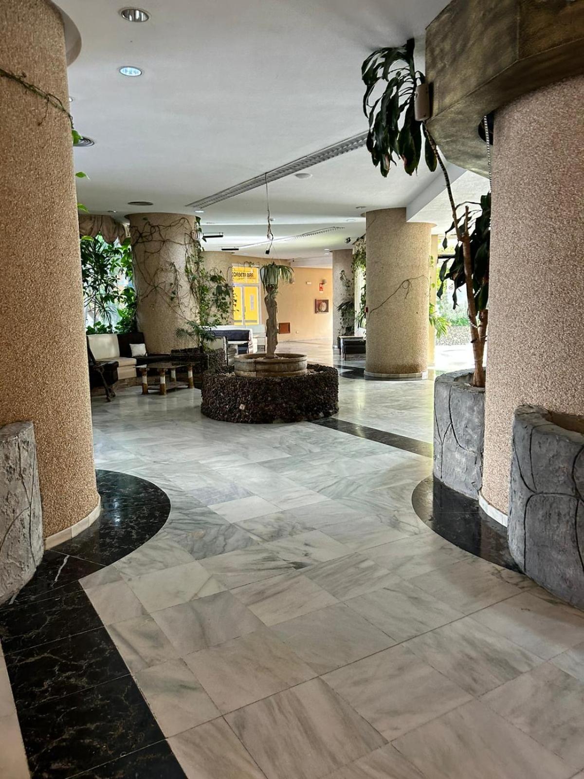 Zen Apartment Tenerife 圣米格尔德阿沃纳 外观 照片